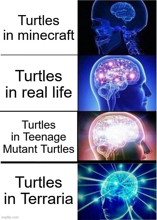 A Turtle in Terraria can kill you in 1-6 hits and has high defense. | Turtles in minecraft; Turtles in real life; Turtles in Teenage Mutant Turtles; Turtles in Terraria | image tagged in memes,expanding brain | made w/ Imgflip meme maker