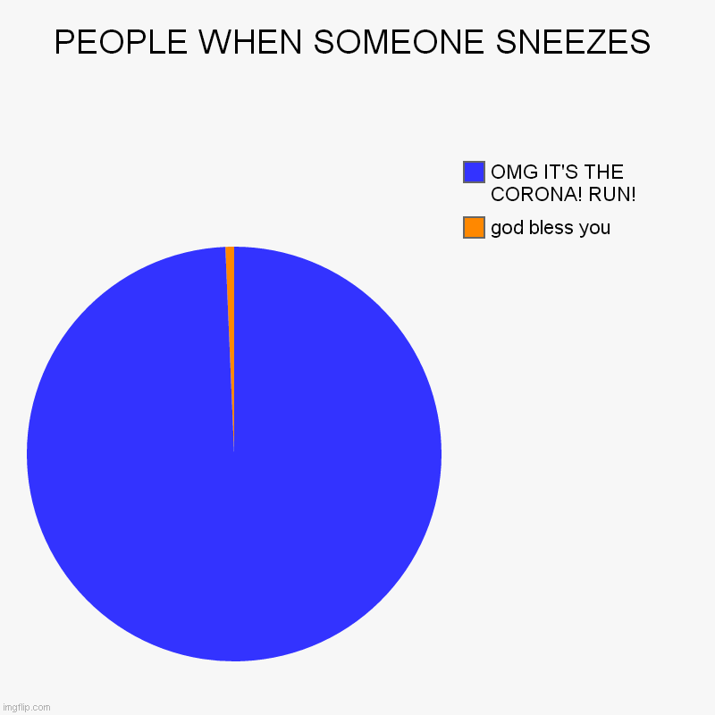 2020 be like: | PEOPLE WHEN SOMEONE SNEEZES | god bless you, OMG IT'S THE CORONA! RUN! | image tagged in charts,pie charts | made w/ Imgflip chart maker
