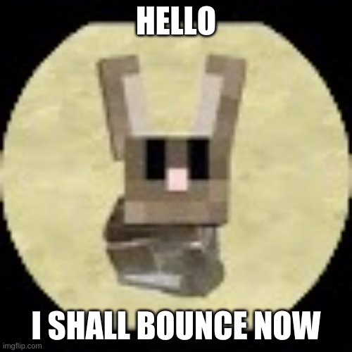 X All the Y | HELLO; I SHALL BOUNCE NOW | image tagged in x all the y | made w/ Imgflip meme maker
