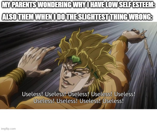 USELESS | MY PARENTS WONDERING WHY I HAVE LOW SELF ESTEEM:; ALSO THEM WHEN I DO THE SLIGHTEST THING WRONG: | image tagged in useless | made w/ Imgflip meme maker