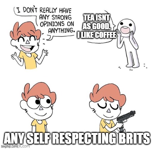Brits are the bomb | TEA ISNT AS GOOD. I LIKE COFFEE; ANY SELF RESPECTING BRITS | image tagged in i don't really have strong opinions,funny memes,british,memes,too funny | made w/ Imgflip meme maker