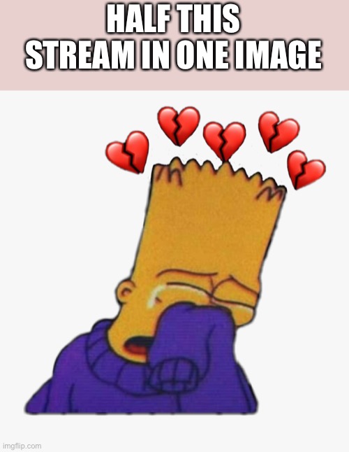 Fax | HALF THIS STREAM IN ONE IMAGE | image tagged in crying bart,memes | made w/ Imgflip meme maker