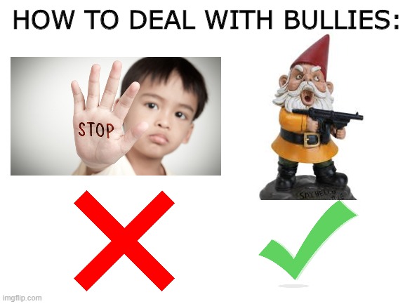CORRECT | HOW TO DEAL WITH BULLIES: | image tagged in bullying,gun,gnome | made w/ Imgflip meme maker