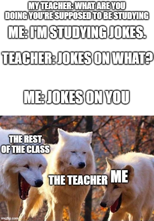 Teacher roast | MY TEACHER: WHAT ARE YOU DOING YOU'RE SUPPOSED TO BE STUDYING; ME: I'M STUDYING JOKES. TEACHER: JOKES ON WHAT? ME: JOKES ON YOU; THE REST OF THE CLASS; ME; THE TEACHER | image tagged in blank white template,laughing wolf | made w/ Imgflip meme maker