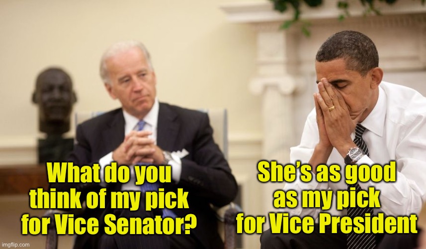 Biden | She’s as good as my pick for Vice President; What do you think of my pick for Vice Senator? | image tagged in biden,vice president | made w/ Imgflip meme maker