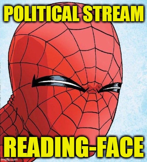 spider man squinting | POLITICAL STREAM; READING-FACE | image tagged in spider man squinting | made w/ Imgflip meme maker