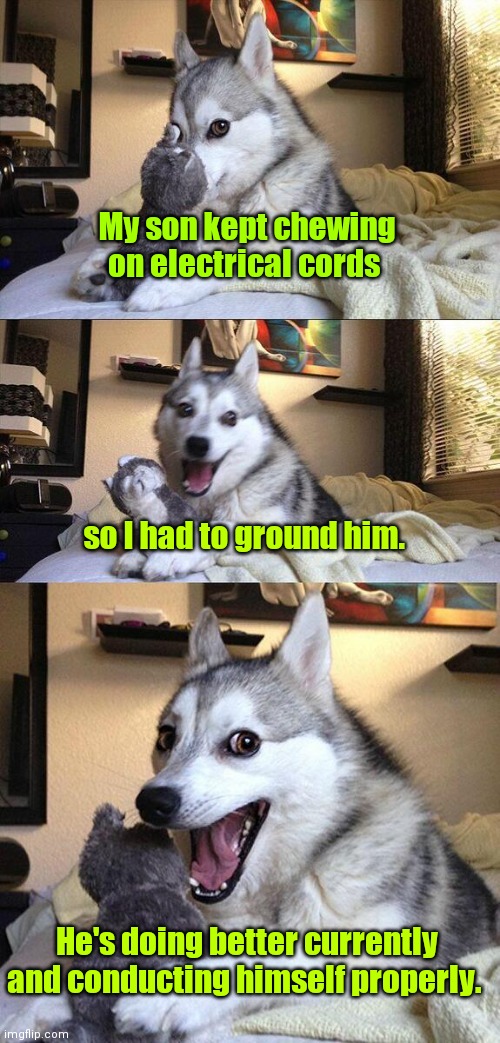 He lights up my life. | My son kept chewing on electrical cords; so I had to ground him. He's doing better currently and conducting himself properly. | image tagged in memes,bad pun dog,electrifying,funny | made w/ Imgflip meme maker