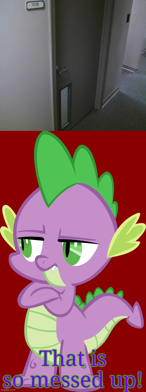 It's totally upside down. | That is so messed up! | image tagged in you had one job,funny,spike,mlp,memes,fails | made w/ Imgflip meme maker