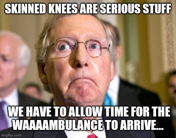 mitch mcconnell | SKINNED KNEES ARE SERIOUS STUFF; WE HAVE TO ALLOW TIME FOR THE 
WAAAAMBULANCE TO ARRIVE... | image tagged in mitch mcconnell | made w/ Imgflip meme maker