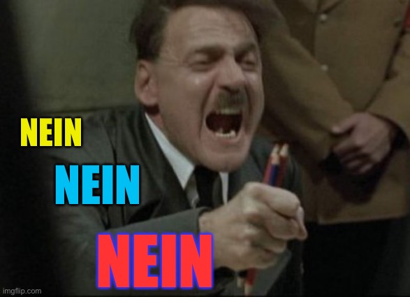 Hitler Downfall | NEIN NEIN NEIN | image tagged in hitler downfall | made w/ Imgflip meme maker