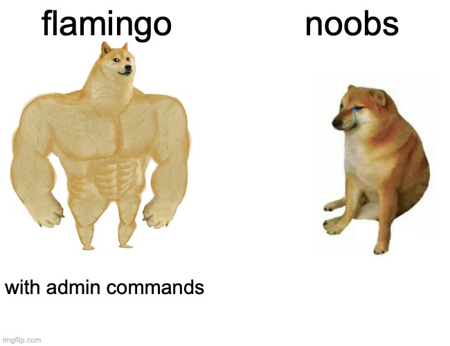 Mr. FlimFlam!!! | flamingo; noobs; with admin commands | image tagged in memes,buff doge vs cheems | made w/ Imgflip meme maker