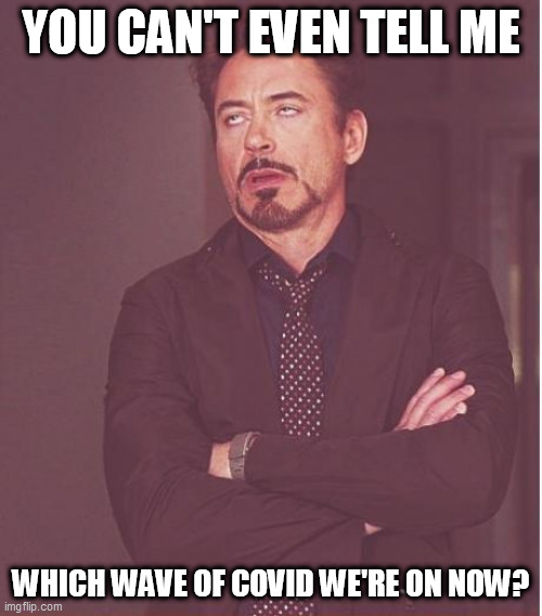 Face You Make Robert Downey Jr | YOU CAN'T EVEN TELL ME; WHICH WAVE OF COVID WE'RE ON NOW? | image tagged in memes,face you make robert downey jr | made w/ Imgflip meme maker