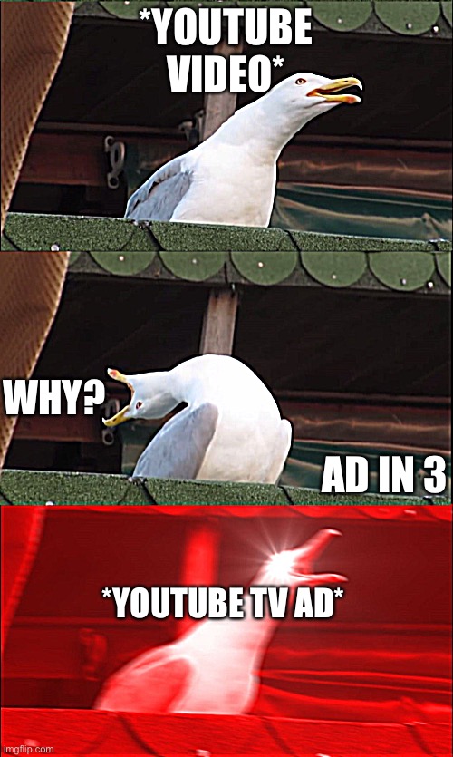 Inhaling Pigeon | *YOUTUBE VIDEO*; WHY? AD IN 3; *YOUTUBE TV AD* | image tagged in inhaling pigeon,shut | made w/ Imgflip meme maker