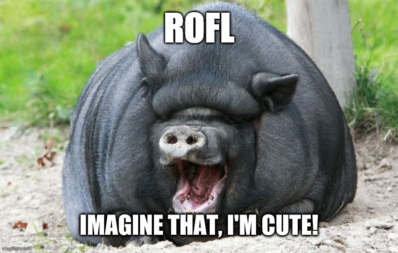 IMAGINE THAT, I'M CUTE! | made w/ Imgflip meme maker