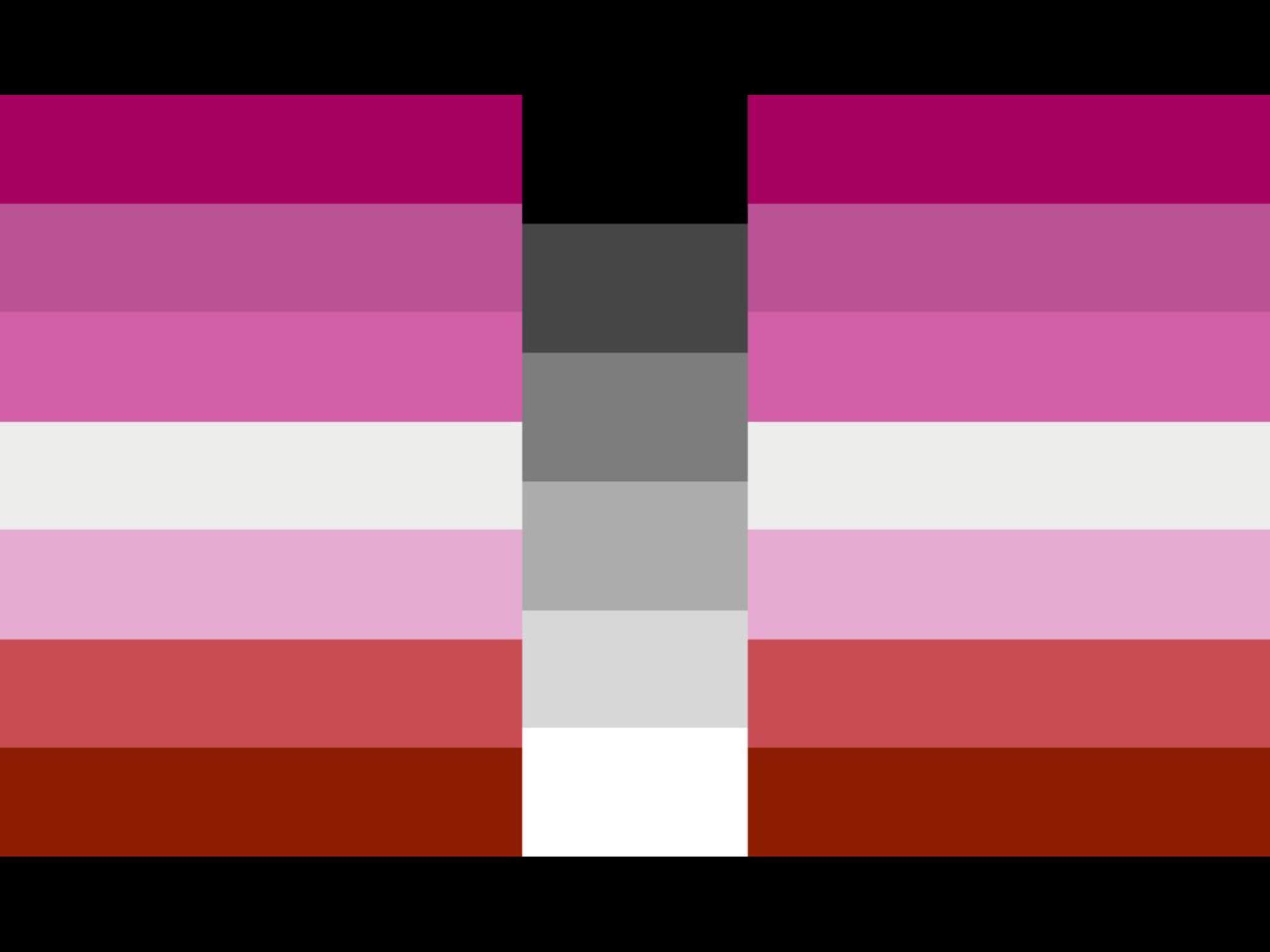 Homoflexible lesbian flag Blank Meme Template