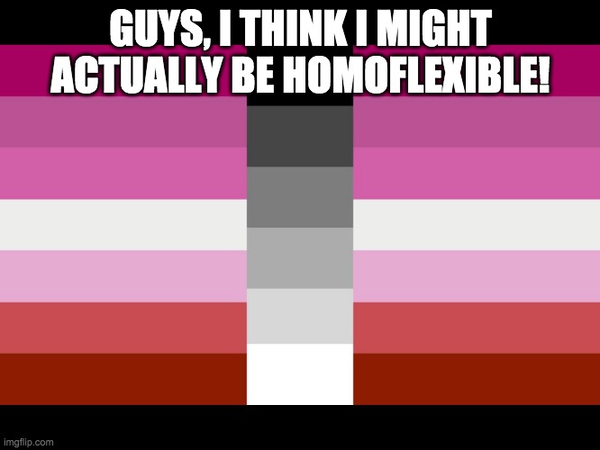 Homoflexible means im a lesbian, but can be occasionally attracted to boys | GUYS, I THINK I MIGHT ACTUALLY BE HOMOFLEXIBLE! | image tagged in homoflexible lesbian flag,coming out,lesbian | made w/ Imgflip meme maker
