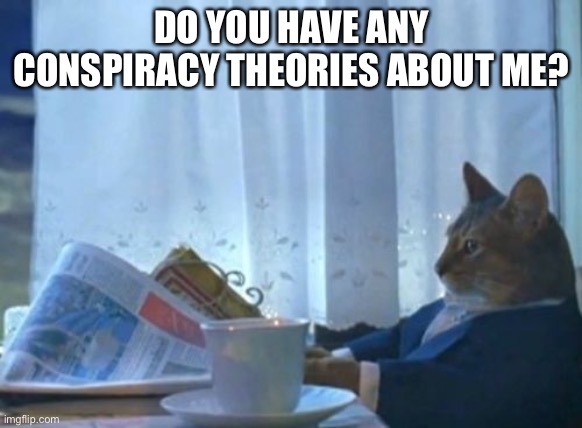 I Should Buy A Boat Cat | DO YOU HAVE ANY CONSPIRACY THEORIES ABOUT ME? | image tagged in memes,i should buy a boat cat | made w/ Imgflip meme maker