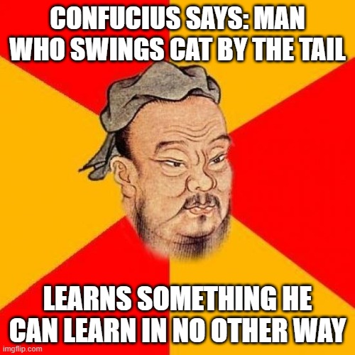 Confucious says | CONFUCIUS SAYS: MAN WHO SWINGS CAT BY THE TAIL; LEARNS SOMETHING HE CAN LEARN IN NO OTHER WAY | image tagged in confucius says | made w/ Imgflip meme maker