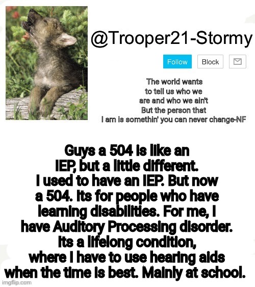 T21-Stormy | Guys a 504 is like an IEP, but a little different. I used to have an IEP. But now a 504. Its for people who have learning disabilities. For me, I have Auditory Processing disorder. Its a lifelong condition, where I have to use hearing aids when the time is best. Mainly at school. | image tagged in t21-stormy | made w/ Imgflip meme maker