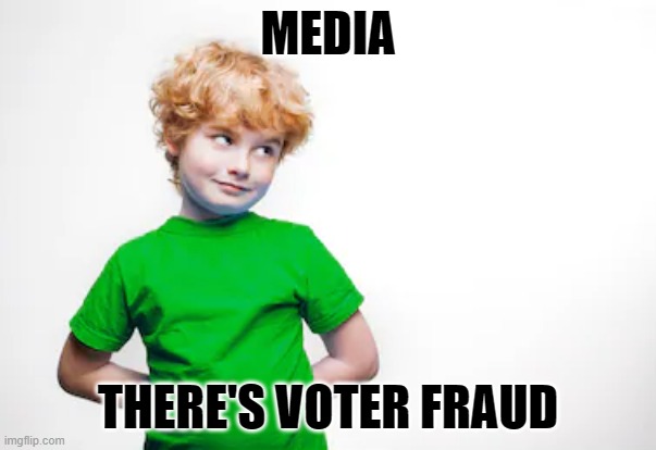 Voter Fraud | MEDIA; THERE'S VOTER FRAUD | image tagged in politics,american politics | made w/ Imgflip meme maker
