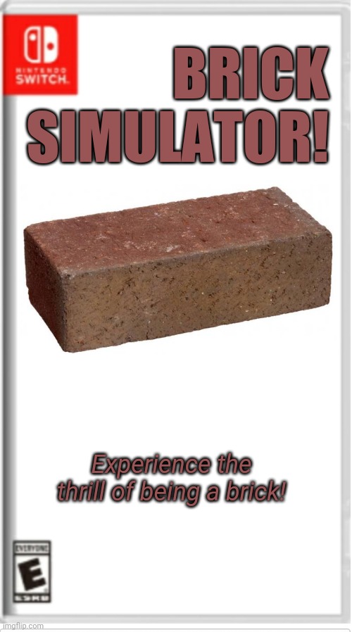 Blank Switch game | BRICK SIMULATOR! Experience the thrill of being a brick! | image tagged in blank switch game | made w/ Imgflip meme maker