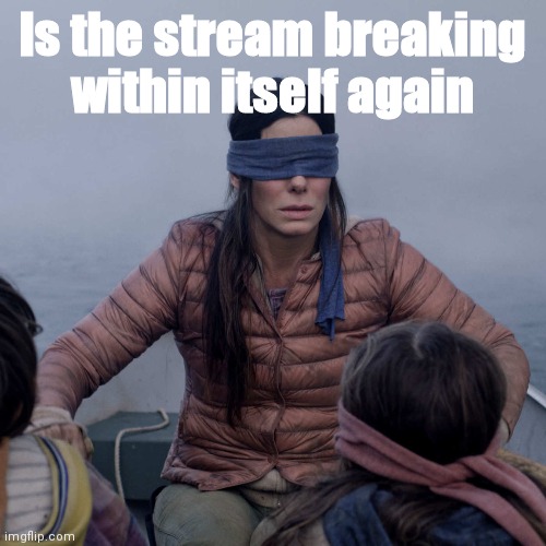 Bird Box | Is the stream breaking within itself again | image tagged in memes,bird box | made w/ Imgflip meme maker