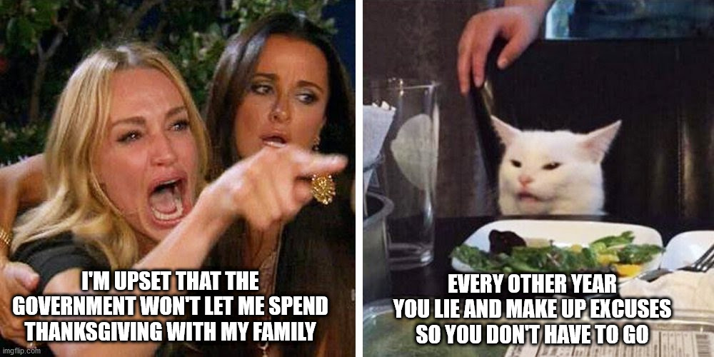 You know it's true | EVERY OTHER YEAR YOU LIE AND MAKE UP EXCUSES SO YOU DON'T HAVE TO GO; I'M UPSET THAT THE GOVERNMENT WON'T LET ME SPEND THANKSGIVING WITH MY FAMILY | image tagged in smudge the cat,turkey day | made w/ Imgflip meme maker