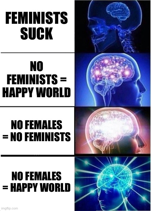 Expanding Brain Meme | FEMINISTS SUCK; NO FEMINISTS = HAPPY WORLD; NO FEMALES = NO FEMINISTS; NO FEMALES = HAPPY WORLD | image tagged in memes,expanding brain | made w/ Imgflip meme maker