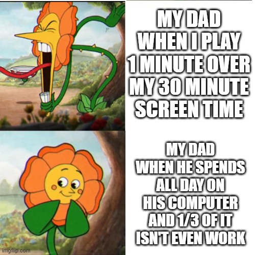 most frustrating thing in the world | MY DAD WHEN I PLAY 1 MINUTE OVER MY 30 MINUTE SCREEN TIME; MY DAD WHEN HE SPENDS ALL DAY ON HIS COMPUTER AND 1/3 OF IT ISN'T EVEN WORK | image tagged in cuphead flower,dads | made w/ Imgflip meme maker