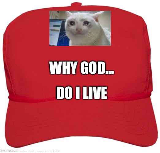 blank red MAGA hat | WHY GOD…; DO I LIVE | image tagged in blank red maga hat | made w/ Imgflip meme maker