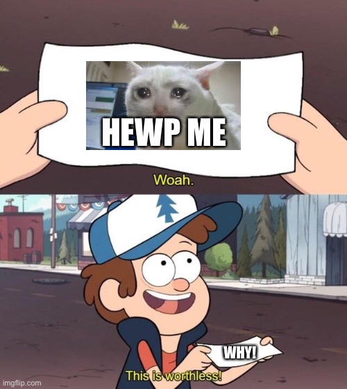 Gravity Falls Meme | HEWP ME; WHY! | image tagged in gravity falls meme | made w/ Imgflip meme maker