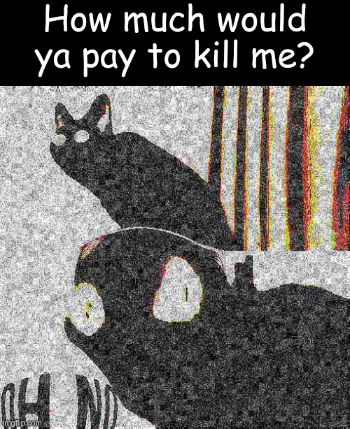 Deep fried oh no cat | How much would ya pay to kill me? | image tagged in deep fried oh no cat | made w/ Imgflip meme maker