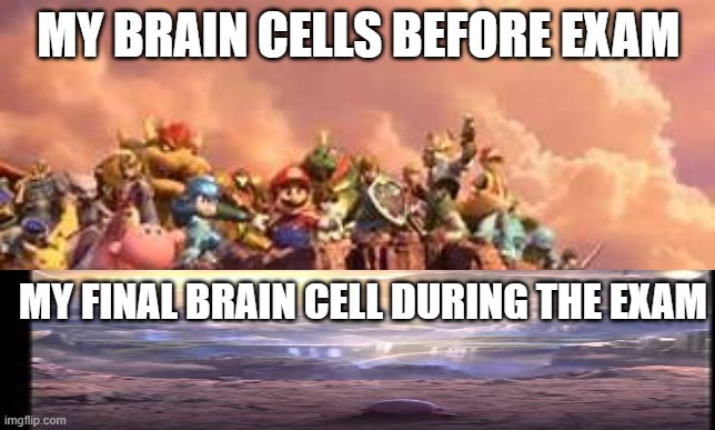 MY BRAIN CELLS BEFORE EXAM; MY FINAL BRAIN CELL DURING THE EXAM | image tagged in exams | made w/ Imgflip meme maker