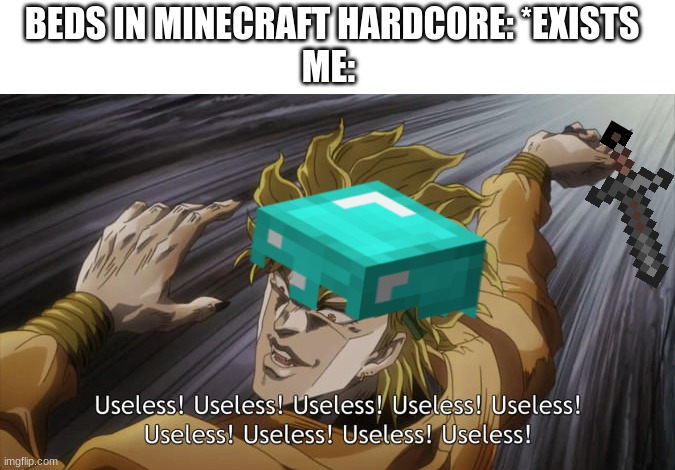beds should not reset your spawn in hardcore | BEDS IN MINECRAFT HARDCORE: *EXISTS
ME: | image tagged in useless | made w/ Imgflip meme maker