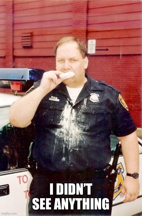 Donut cop | I DIDN’T SEE ANYTHING | image tagged in donut cop | made w/ Imgflip meme maker