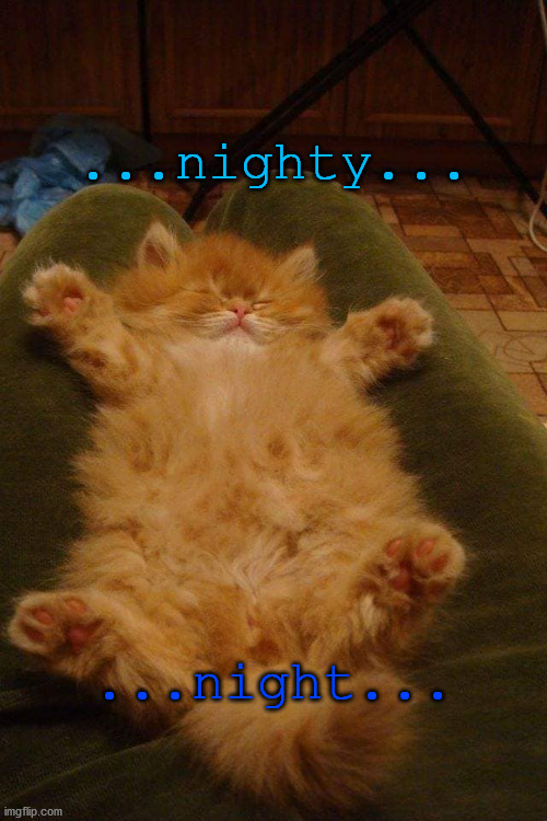 good night kitten | ...nighty... ...night... | image tagged in good night,kitten asleep | made w/ Imgflip meme maker