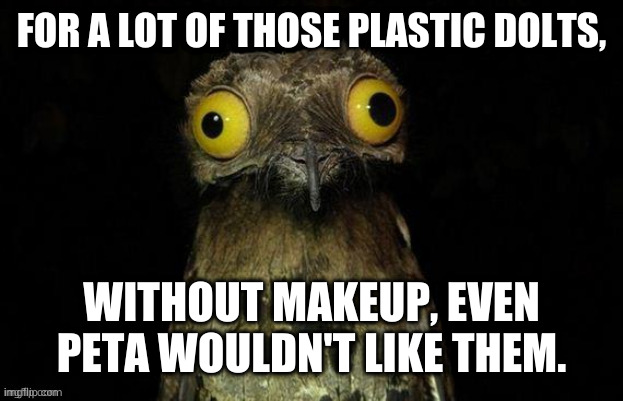 FOR A LOT OF THOSE PLASTIC DOLTS, WITHOUT MAKEUP, EVEN PETA WOULDN'T LIKE THEM. | made w/ Imgflip meme maker