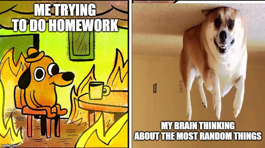 Homework be like | ME TRYING TO DO HOMEWORK; MY BRAIN THINKING ABOUT THE MOST RANDOM THINGS | image tagged in memes | made w/ Imgflip meme maker