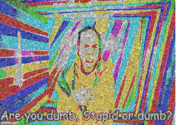 Deep Fried Are you dumb or stupid or dumb | image tagged in deep fried are you dumb or stupid or dumb | made w/ Imgflip meme maker