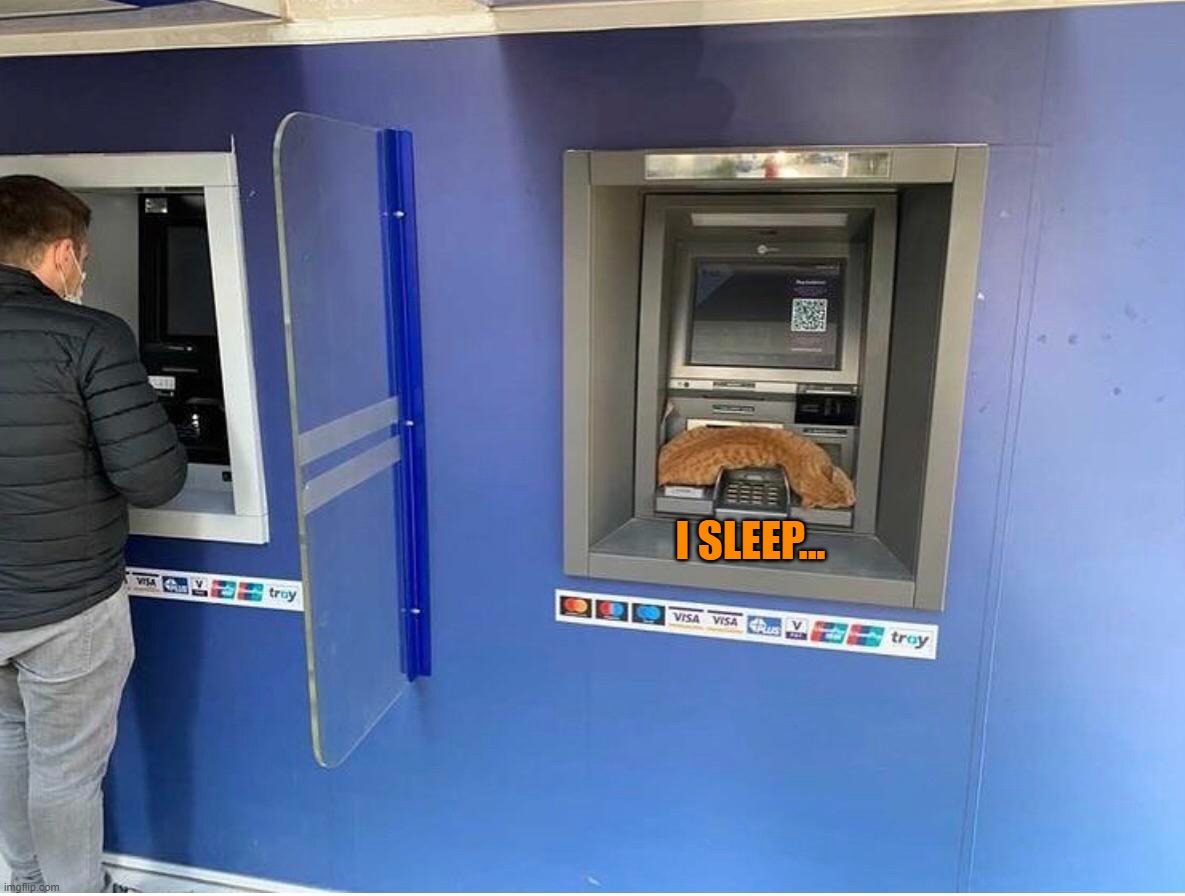 Cats Sleep Wherever They Want | I SLEEP... | image tagged in funny,cats,cat,atm,cute,sleeping | made w/ Imgflip meme maker