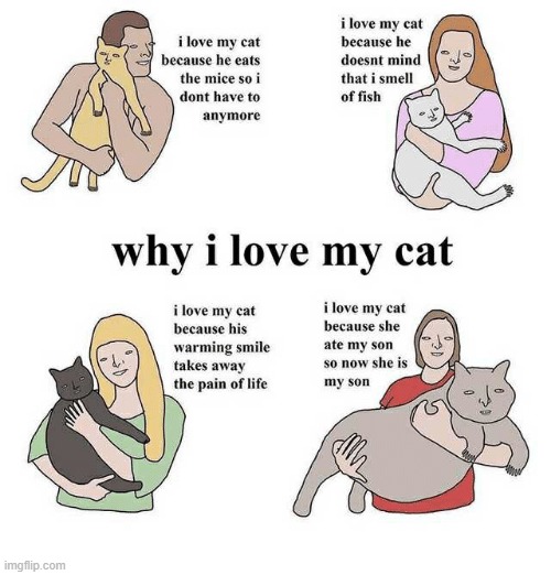 Gotcha' Shoto | image tagged in cats,cursed | made w/ Imgflip meme maker