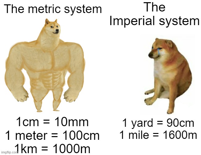 The superior | The Imperial system; The metric system; 1cm = 10mm
1 meter = 100cm
1km = 1000m; 1 yard = 90cm
1 mile = 1600m | image tagged in memes,buff doge vs cheems,funny,metric,imperial system | made w/ Imgflip meme maker