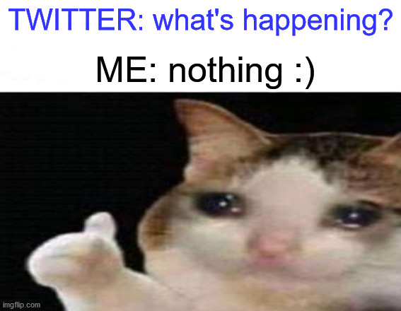 nothing :) | TWITTER: what's happening? ME: nothing :) | image tagged in memes,fun,twitter,sad cat,nothing | made w/ Imgflip meme maker