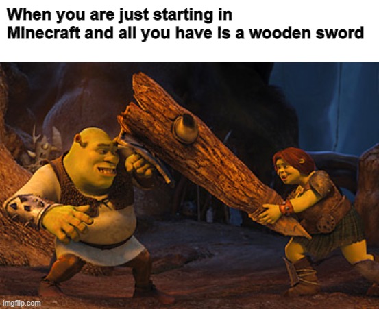 When you are just starting in Minecraft and all you have is a wooden sword | image tagged in memes | made w/ Imgflip meme maker