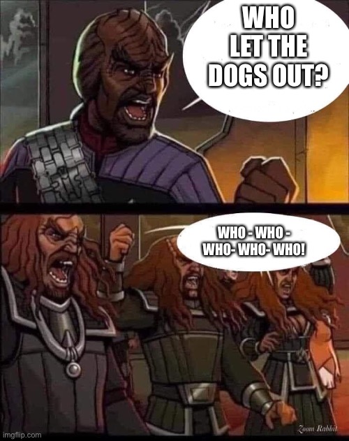 Worf | WHO LET THE DOGS OUT? WHO - WHO - WHO- WHO- WHO! | image tagged in fun | made w/ Imgflip meme maker