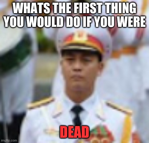 trend i guess | WHATS THE FIRST THING YOU WOULD DO IF YOU WERE; DEAD | image tagged in visible confusion | made w/ Imgflip meme maker