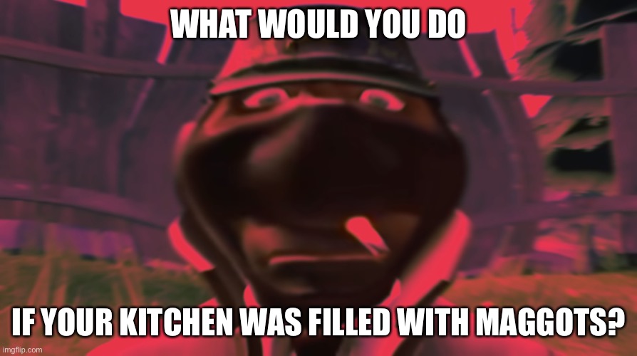 Weird question | WHAT WOULD YOU DO; IF YOUR KITCHEN WAS FILLED WITH MAGGOTS? | image tagged in spy looking | made w/ Imgflip meme maker