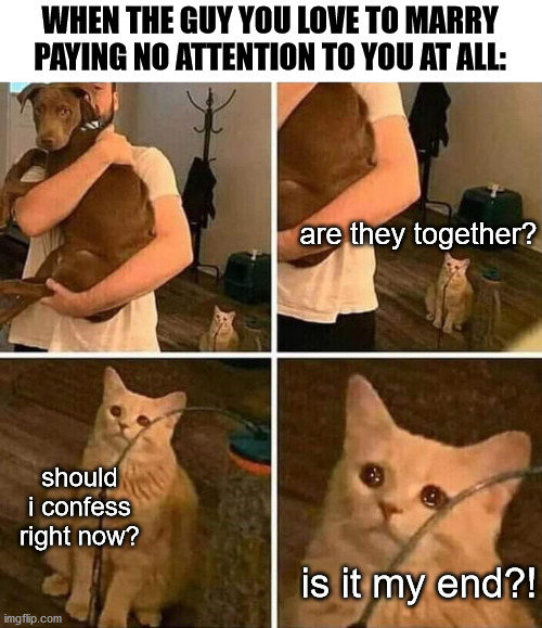 no title cat |  WHEN THE GUY YOU LOVE TO MARRY PAYING NO ATTENTION TO YOU AT ALL:; are they together? should i confess right now? is it my end?! | image tagged in crying cat comic,memes,love,cat,marry,fun | made w/ Imgflip meme maker