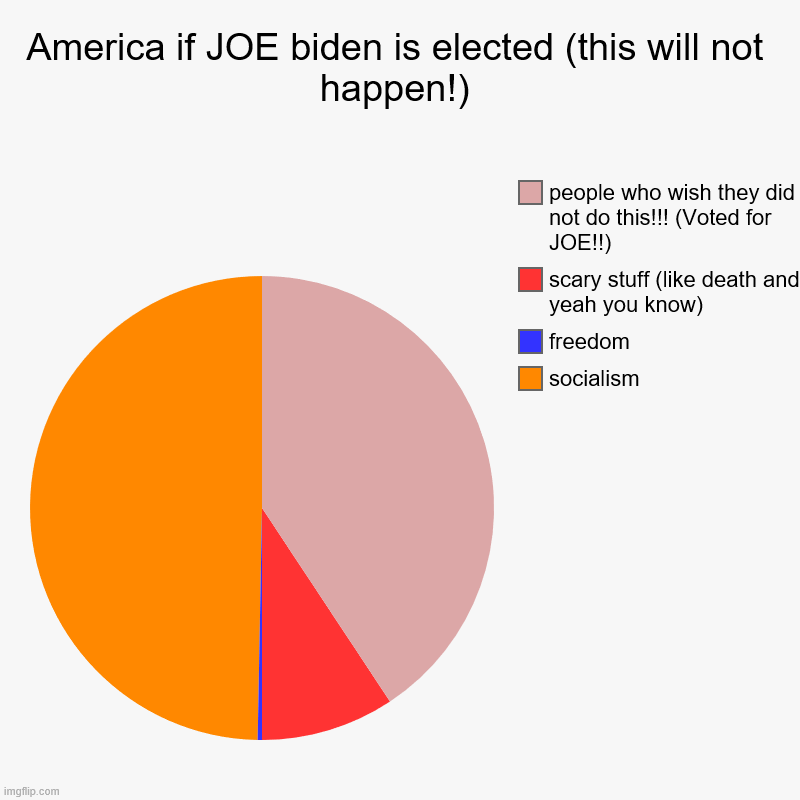 Joe Biden ! | America if JOE biden is elected (this will not happen!) | socialism, freedom, scary stuff (like death and yeah you know), people who wish th | image tagged in charts,pie charts | made w/ Imgflip chart maker