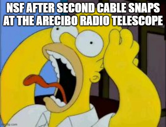 Homer Freak Out | NSF AFTER SECOND CABLE SNAPS AT THE ARECIBO RADIO TELESCOPE | image tagged in homer freak out,nsf | made w/ Imgflip meme maker